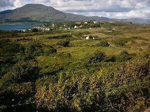 Bear Island - Oile�n B�ara