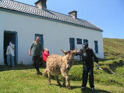 Blaskets - na Blascaoda�