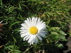 Blaskets - na Blascaoda�