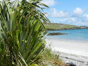 Inishbofin - Inis B� Finne