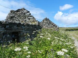 Inishbofin - Inis B� Finne
