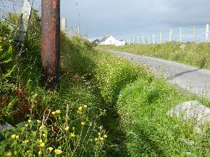 Inishbofin - Inis B� Finne