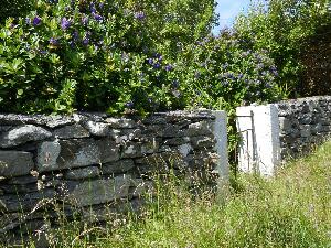 Inishbofin - Inis B� Finne