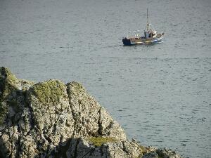 Inishbofin - Inis B� Finne