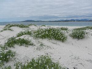 Mason Island - Oile�n M�isean