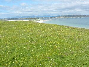 Mason Island - Oile�n M�isean