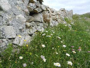 Mason Island - Oile�n M�isean