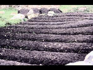 Connemara - na hOile�in