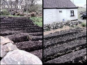 Connemara - na hOile�in