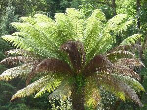 Valentia Island - Oile�n Dairbhre