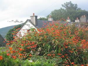 Valentia Island - Oile�n Dairbhre