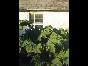 Valentia Island - Oile�n Dairbhre