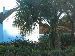 Valentia Island - Oile�n Dairbhre