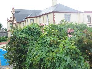 Valentia Island - Oile�n Dairbhre